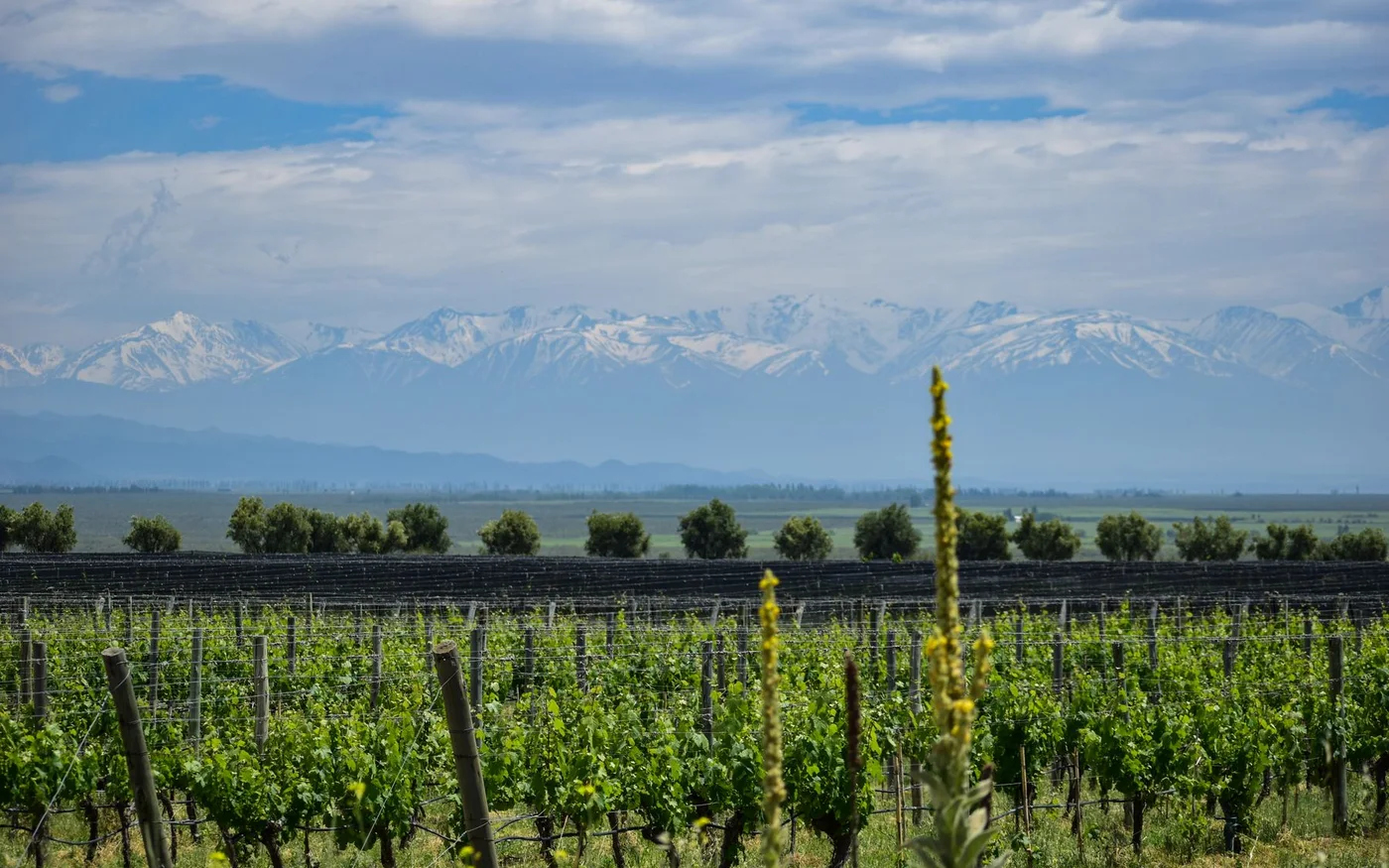 Paquete Mendoza - FTravel